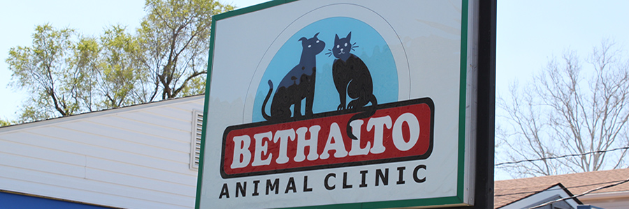 Bethalto-Animal-Clinic-Contact